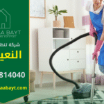 صورة توضح فريق عمل محترف من شركة تنظيف في النعيمية يقدم خدمات تنظيف متكاملة.