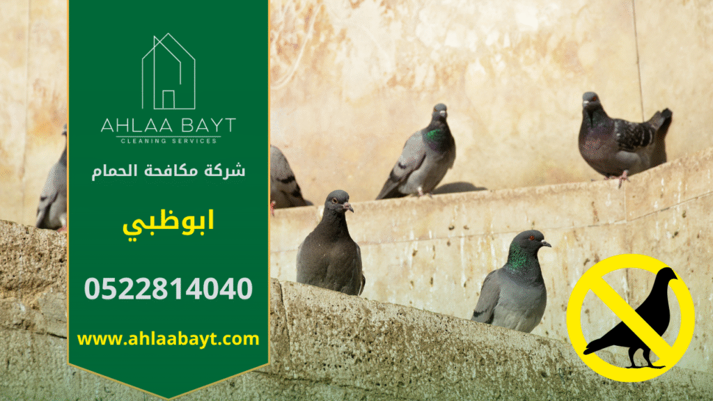 صورة توضح تجمع أسراب الحمام على أحد المباني في ابوظبي، مما يبرز أهمية خدمات شركة مكافحة الحمام في ابوظبي لحماية الممتلكات من الأضرار الناتجة عن الطيور.