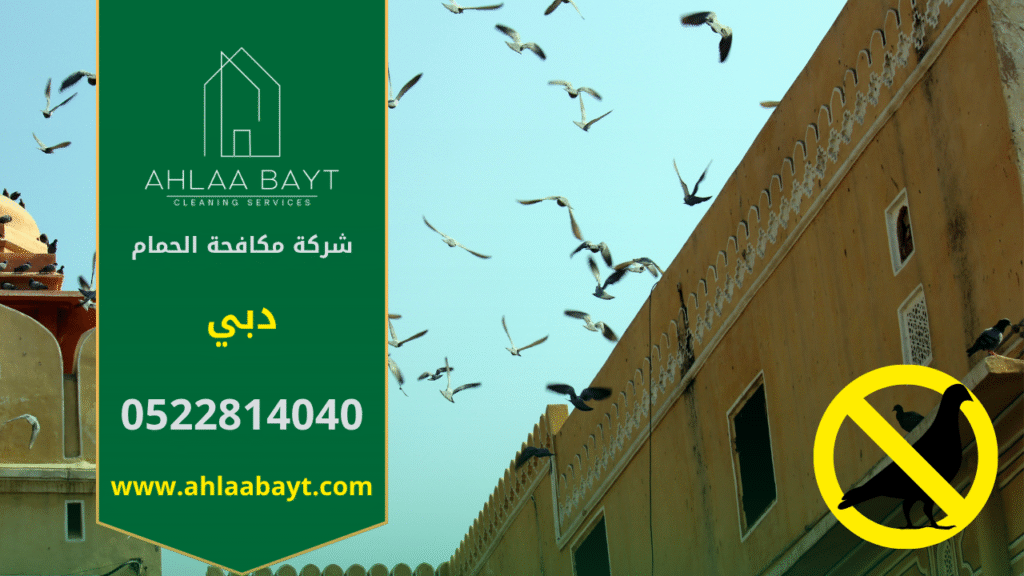 فريق عمل من شركة مكافحة الحمام في دبي يقوم بتركيب شبك حماية حديث على شرفات المباني لمنع تجمع الحمام والحفاظ على نظافة الواجهة.