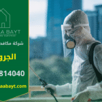 فريق عمل محترف من شركة مكافحة حشرات في الجروف يقوم برش المبيدات داخل منزل باستخدام أدوات حديثة لضمان بيئة آمنة وخالية من الحشرات.
