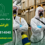 فريق محترف من شركة مكافحة حشرات في الراشدية يقوم بمكافحة الحشرات داخل المنازل والمكاتب باستخدام تقنيات آمنة وفعالة لضمان بيئة نظيفة وصحية.