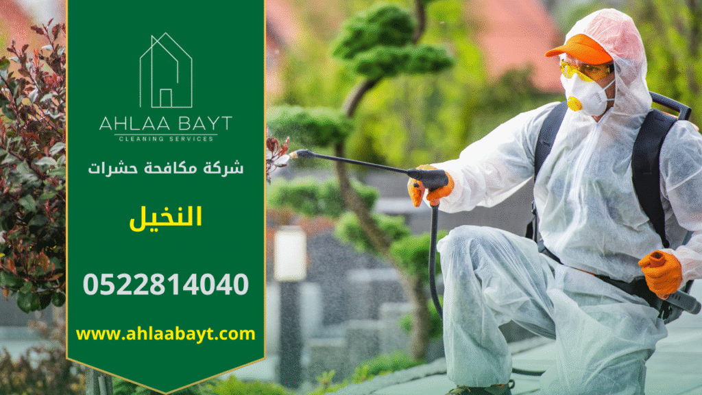 فريق محترف من شركة مكافحة حشرات في النخيل يستخدم معدات حديثة ومبيدات آمنة للقضاء على الحشرات في المنازل بسرعة وكفاءة عالية.