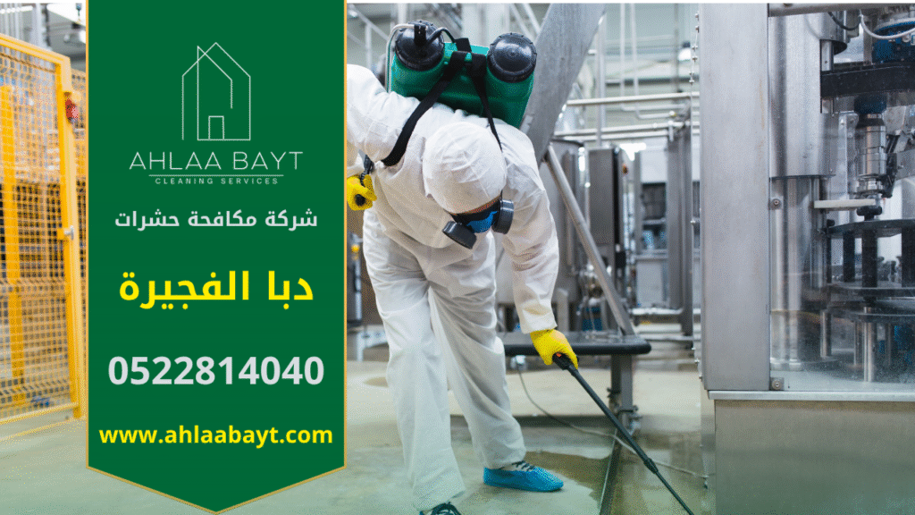 فريق شركة مكافحة حشرات في دبا الفجيرة يستخدم معدات حديثة لرش المبيدات داخل منزل لضمان بيئة نظيفة وآمنة وخالية من الحشرات.