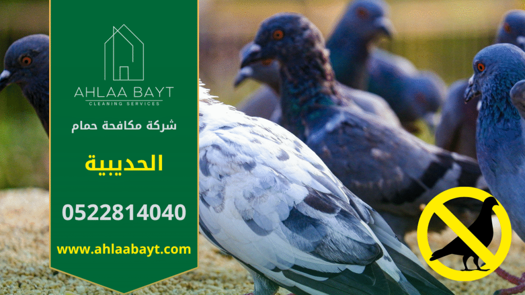 شركة مكافحة الحمام في الحديبية تقدم خدمات تركيب شبكات وأسلاك طاردة للحمام لحماية الأسطح والمباني من تجمع الطيور وأضرارها.