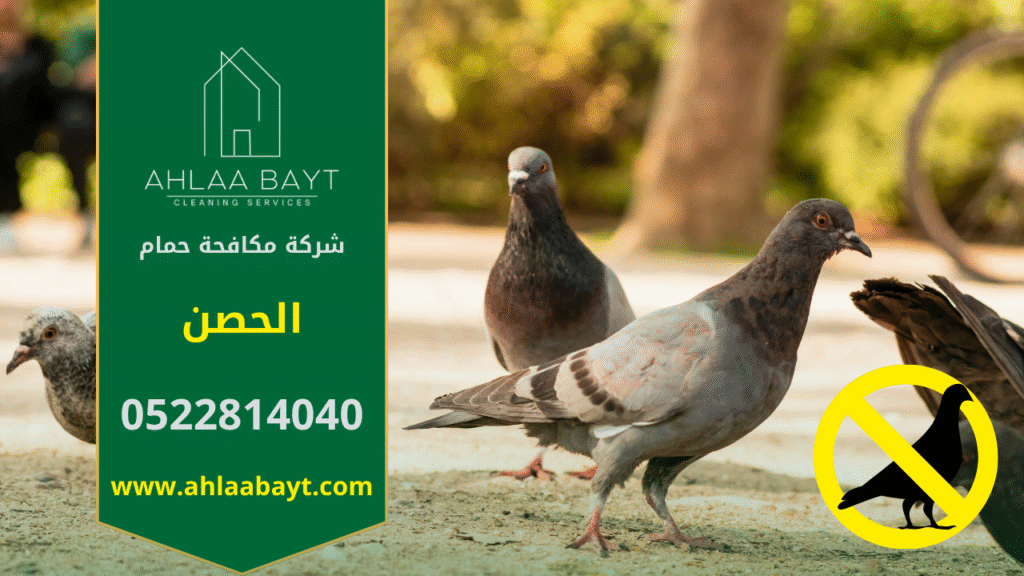 شركة مكافحة الحمام في الحصن تقوم بتركيب شبكات وأسلاك طاردة للحمام لحماية الأسطح والمباني من الأوساخ وأضرار تجمع الطيور.