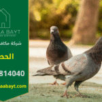 شركة مكافحة الحمام في الحصن تقوم بتركيب شبكات وأسلاك طاردة للحمام لحماية الأسطح والمباني من الأوساخ وأضرار تجمع الطيور.