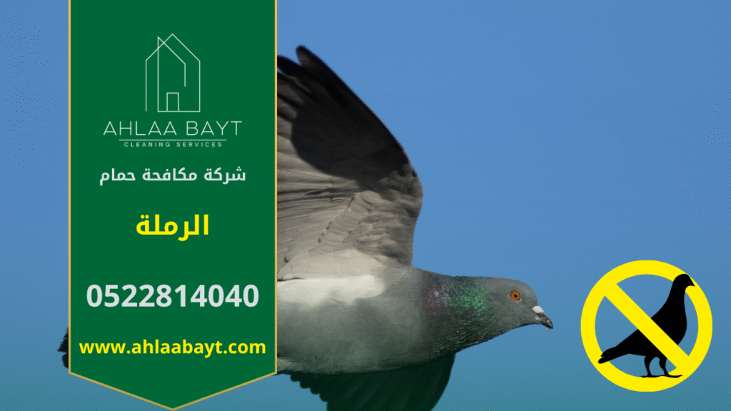 شركة مكافحة الحمام في الرملة تقوم بتركيب شبكات وأسلاك طاردة للحمام لحماية الأسطح والمباني من تجمع الطيور وأضرارها.