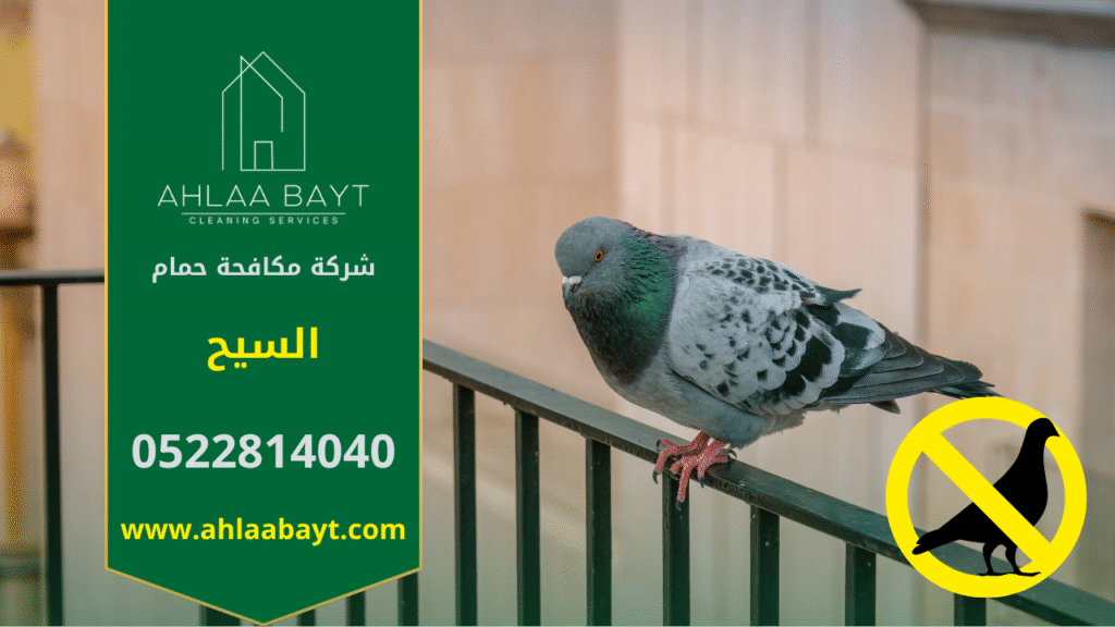 حمام متجمع على سطح مبنى في السيح مما يظهر الحاجة إلى شركة مكافحة الحمام في السيح.