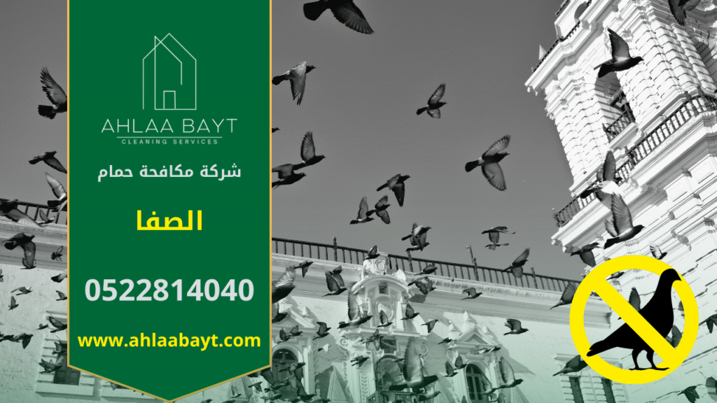 صورة توضح تجمع أسراب الحمام على أحد المباني في الصفا، مما يبرز أهمية الاستعانة بـ شركة مكافحة الحمام في الصفا لحماية الأسطح والواجهات.
