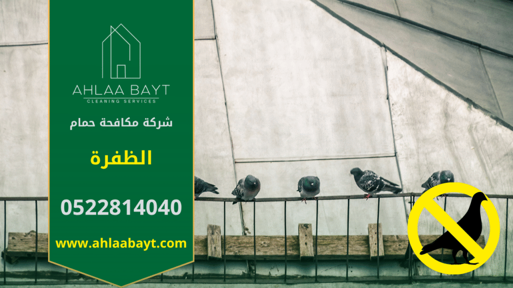 حمام متجمع على سطح مبنى في الظفرة مما يوضح الحاجة إلى شركة مكافحة الحمام في الظفرة.