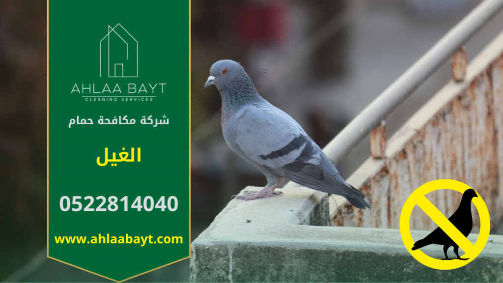 حمام يقف على سطح مبنى في منطقة الغيل مما يوضح الحاجة إلى شركة مكافحة الحمام في الغيل.