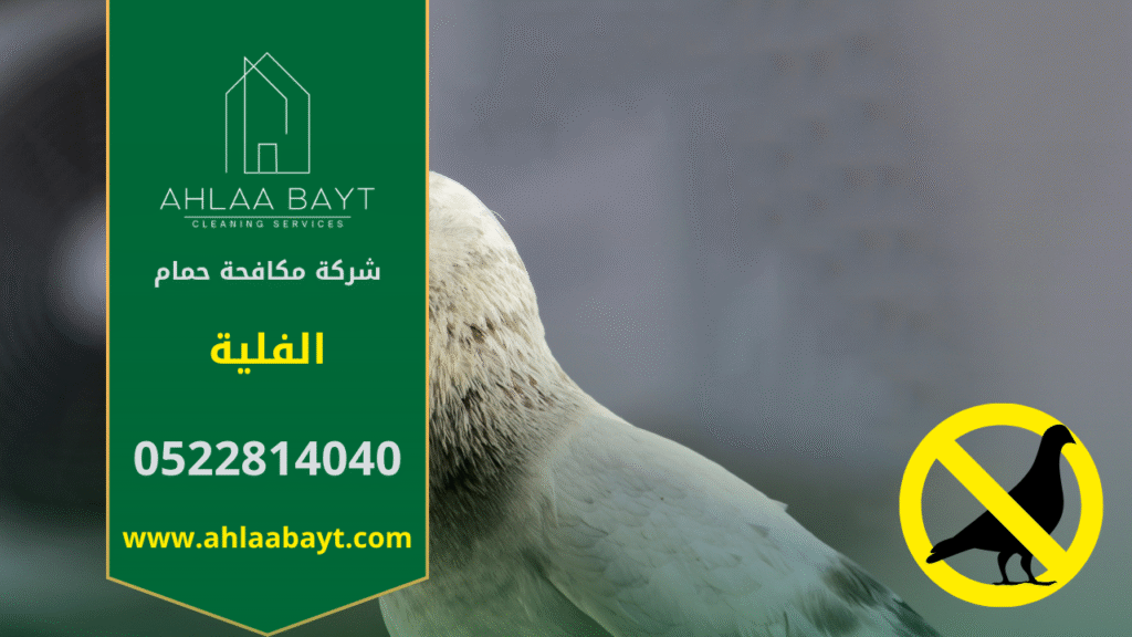 شركة مكافحة الحمام في الفلية تقدم خدمات تركيب شبكات وأسلاك طاردة للحمام لحماية الأسطح والمباني من أضرار الطيور وتجمعها.