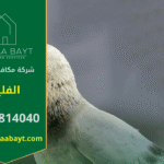 شركة مكافحة الحمام في الفلية تقدم خدمات تركيب شبكات وأسلاك طاردة للحمام لحماية الأسطح والمباني من أضرار الطيور وتجمعها.