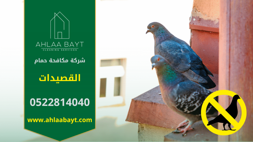 حمام متجمع على سطح مبنى في القصيدات مما يوضح حاجة السكان إلى شركة مكافحة الحمام في القصيدات.