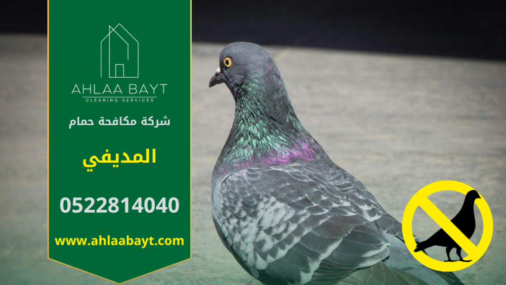 شركة مكافحة الحمام في المديفي تقوم بتركيب شبكات وأسلاك طاردة للحمام لحماية الأسطح والمباني من الأوساخ وأضرار الطيور.