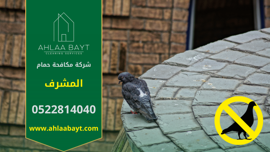 حمام متجمع على شرفة منزل في المشرف مما يسبب أوساخ وأضرار ويبرز الحاجة إلى شركة مكافحة الحمام في المشرف.