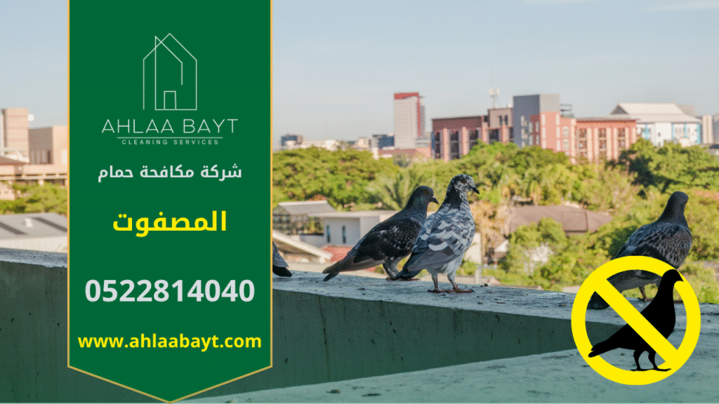 حمام يقف على سطح مبنى في المصفوت مما يدل على الحاجة إلى شركة مكافحة الحمام في المصفوت.