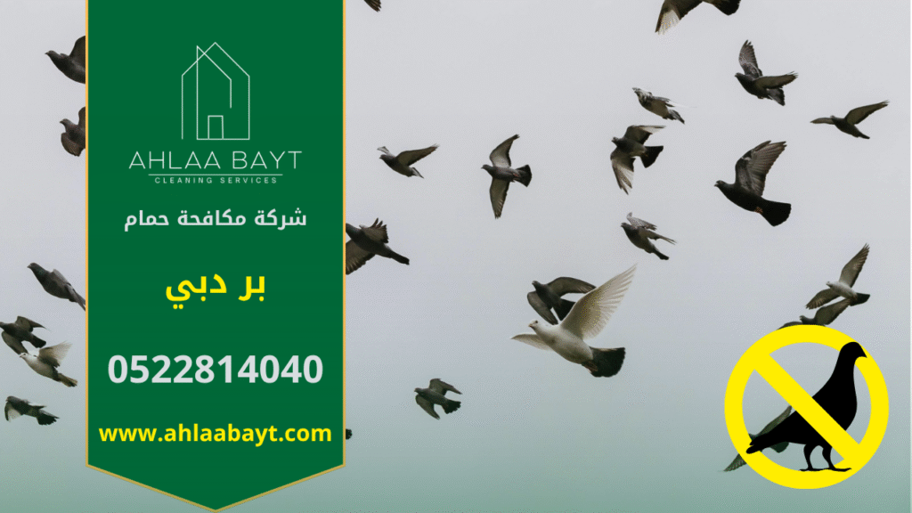 عامل من شركة مكافحة الحمام في بر دبي يقوم بتركيب شبك حماية على سطح المبنى لمنع تجمع الطيور وحماية الواجهة من الأوساخ.