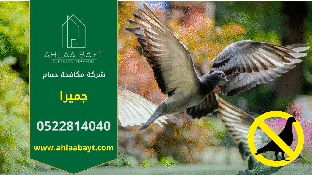صورة توضح أسراب الحمام على واجهة أحد المباني السكنية في جميرا، وتُستخدم لتوضيح أهمية خدمات شركة مكافحة الحمام في جميرا للحد من انتشار الطيور وحماية الممتلكات.