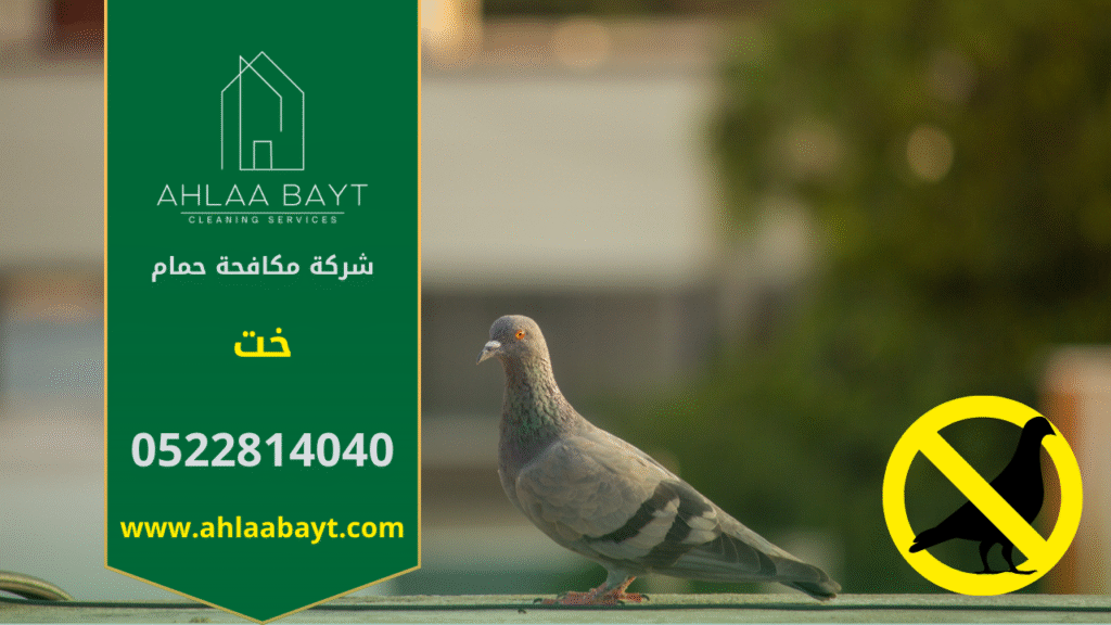 حمام متجمع على سطح مبنى في خت مما يعكس الحاجة إلى شركة مكافحة الحمام في خت.