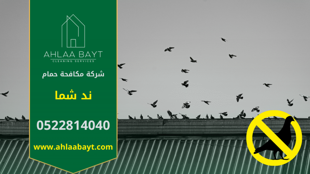 صورة توضح تجمع أسراب الحمام على سطح أحد المباني في ند شما، مما يبرز أهمية خدمات شركة مكافحة الحمام في ند شما للوقاية من الأضرار.