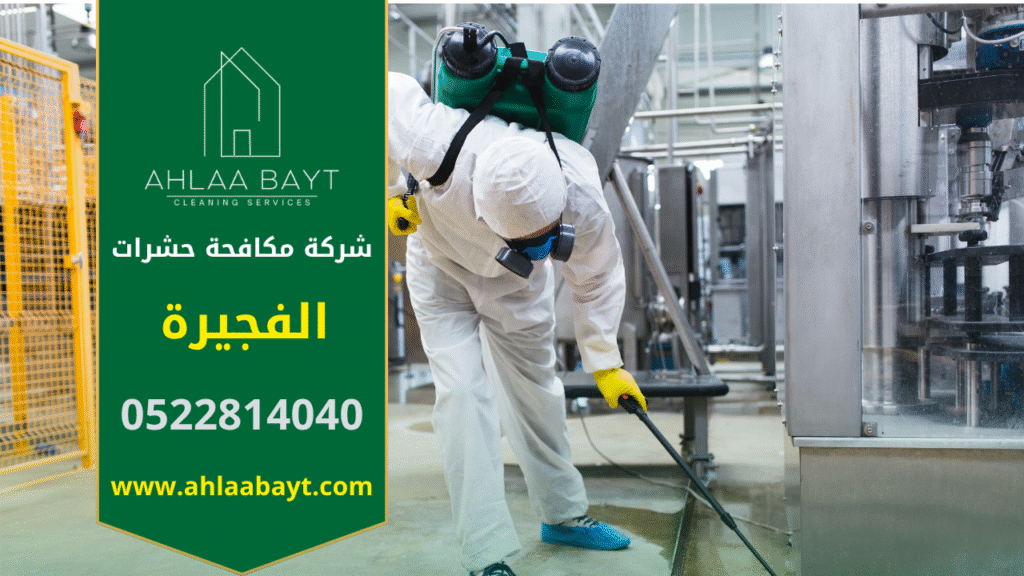 فريق متخصص من شركة مكافحة الحشرات في الفجيرة يقوم برش المبيدات داخل منزل للتخلص من الصراصير والنمل والبق والفئران.