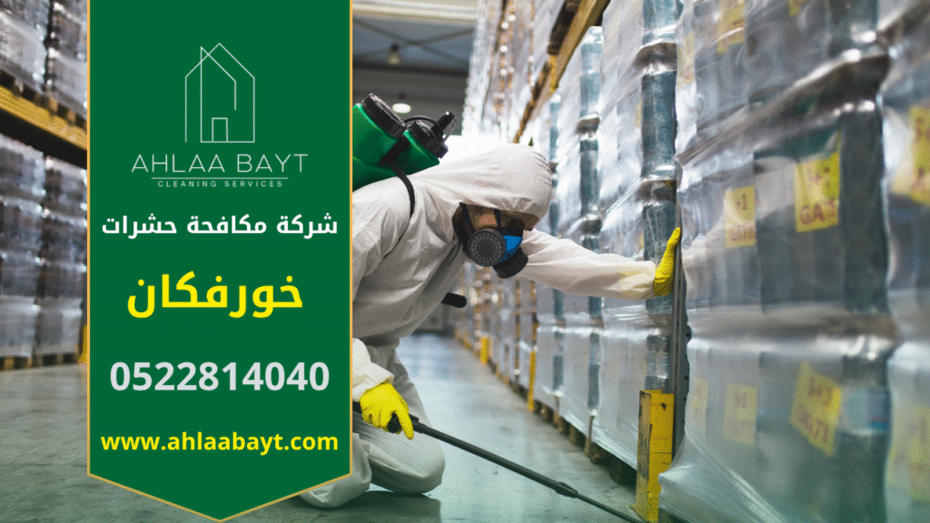 فريق متخصص من شركة مكافحة حشرات في خورفكان يستخدم معدات حديثة لرش الحشرات داخل منزل لتحقيق إبادة آمنة وفعالة.