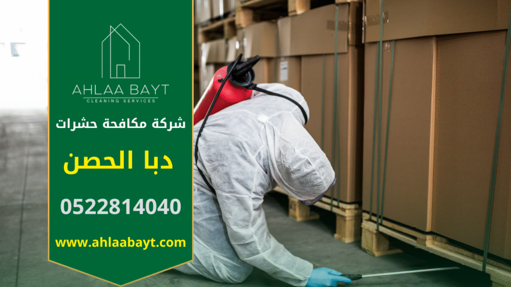 فريق متخصص من شركة مكافحة حشرات في دبا الحصن ينفذ عملية رش آمنة داخل منزل باستخدام معدات حديثة.