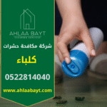 عامل يرش المبيدات داخل منزل في كلباء باستخدام معدات حديثة لضمان خدمة فعالة من شركة مكافحة حشرات في كلباء.