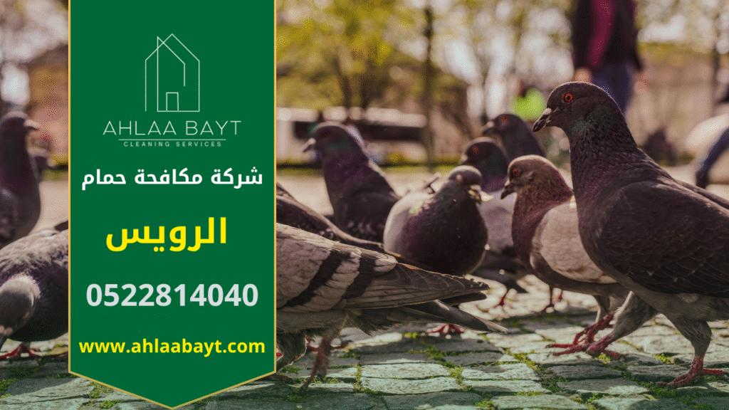 عمال من شركة مكافحة الحمام في الرويس يركبون شبك واقٍ على سطح مبنى حديث باستخدام أدوات احترافية لضمان الحماية من الحمام.