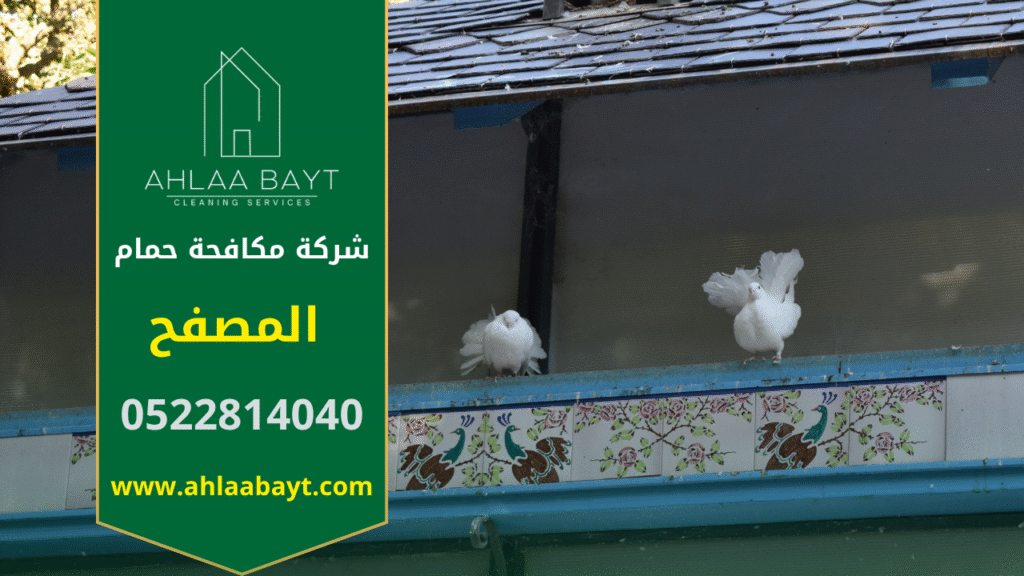 عمال متخصصون من شركة مكافحة الحمام في المصفح يركبون شبك واقٍ على واجهة مبنى لحماية الأسطح من تجمع الطيور بشكل آمن وفعال.