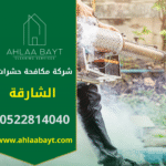 صورة فريق يعمل في شركة مكافحة حشرات في الشارقة وهو ينفذ معالجة داخل منزل باستخدام معدات رش حديثة.