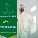 صورة فريق متخصص من شركة مكافحة حشرات في عجمان يستخدم معدات حديثة لرش المبيدات داخل منزل بهدف القضاء على الحشرات بشكل آمن.